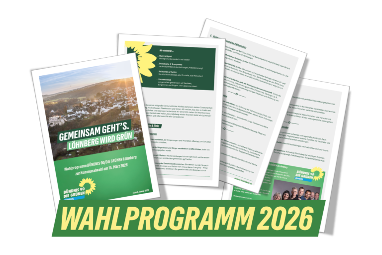 Wahlprogramm 2026